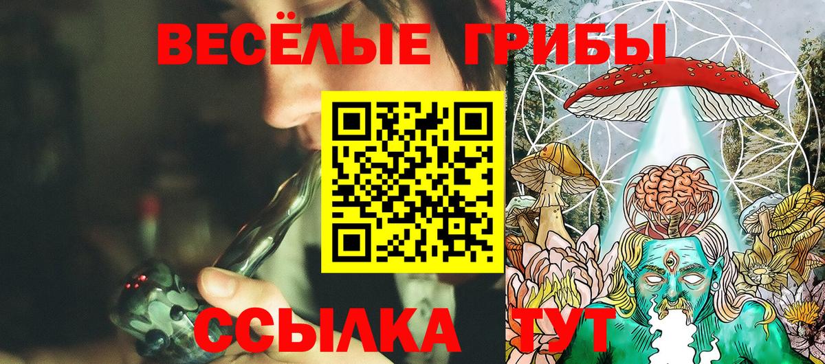 Галлюциногенные грибы прущие грибы Красногорск